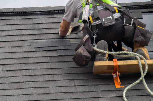 Best Gutter Installation and Roofing  in Throop, PA