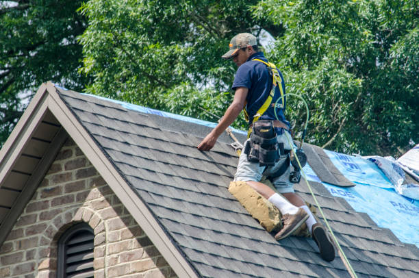 Best Roof Restoration Services  in Throop, PA