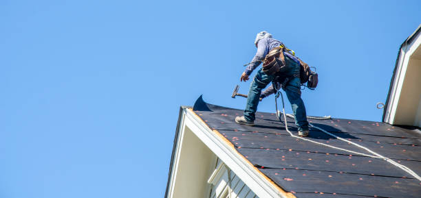 Best Gutter Installation and Roofing  in Throop, PA